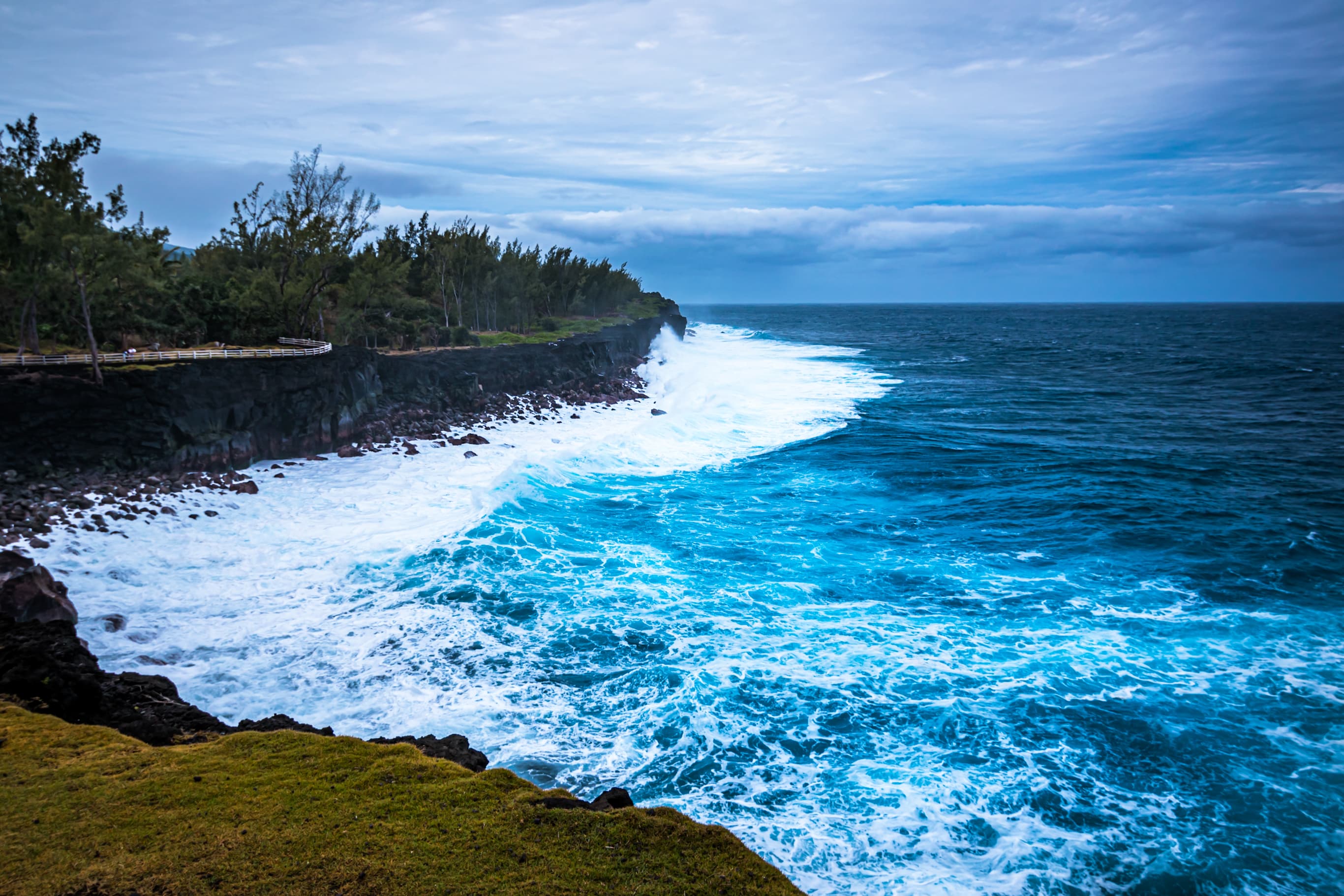 Observation des baleines