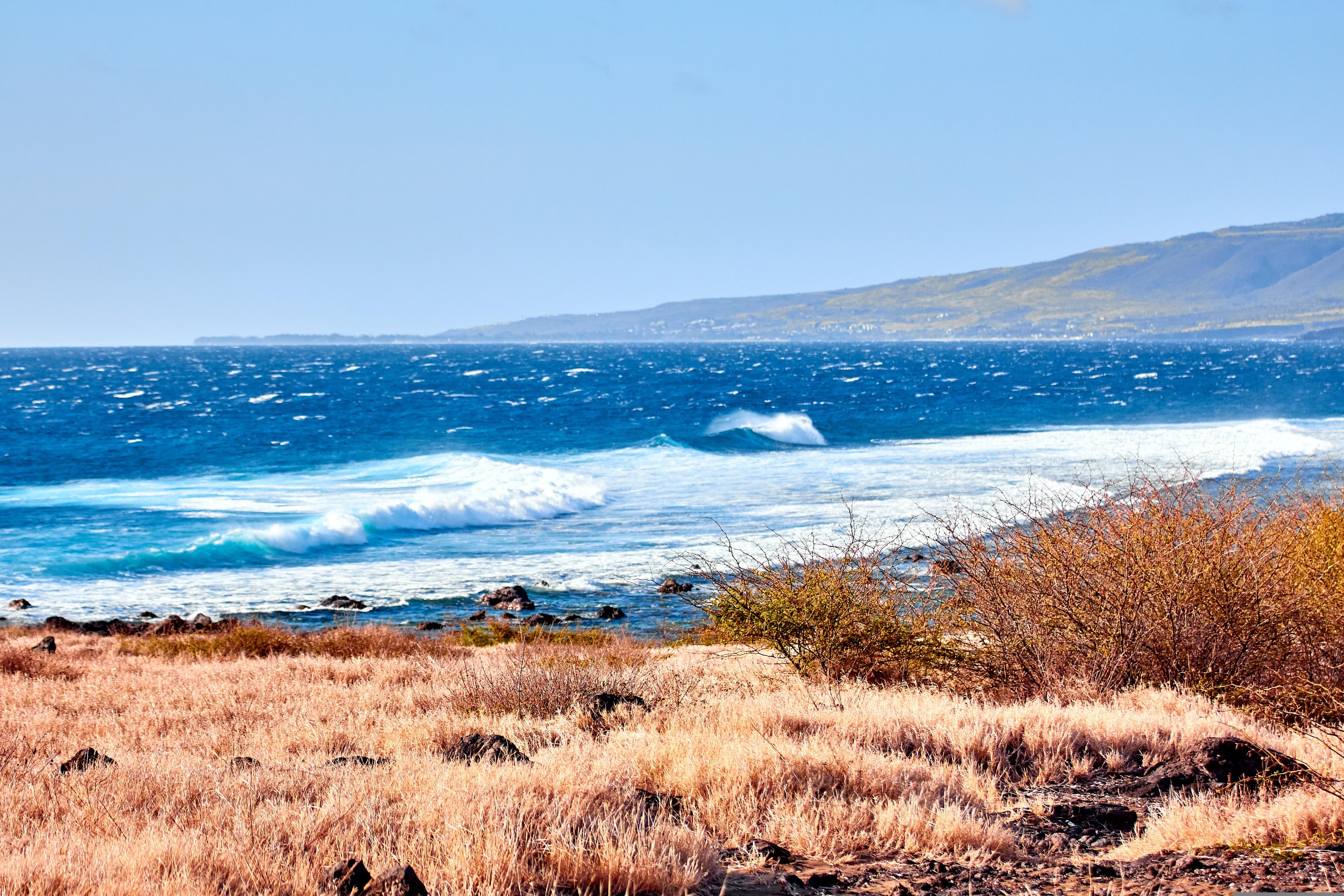 Surf